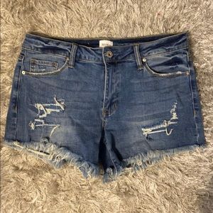 Special A Size Large Shorts
